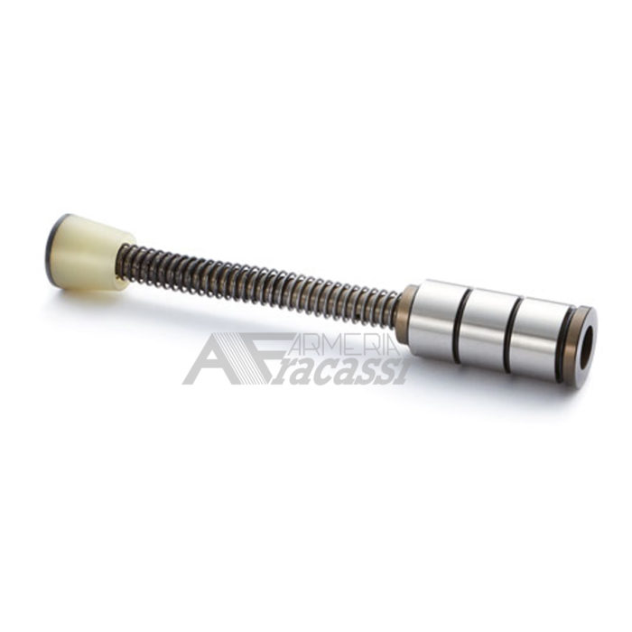 Silent capture spring AR-15 rifle