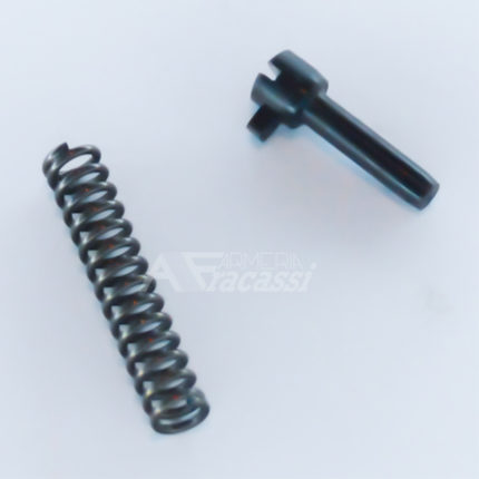 Spring + magazine catch lock