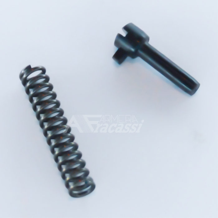 Spring + magazine catch lock