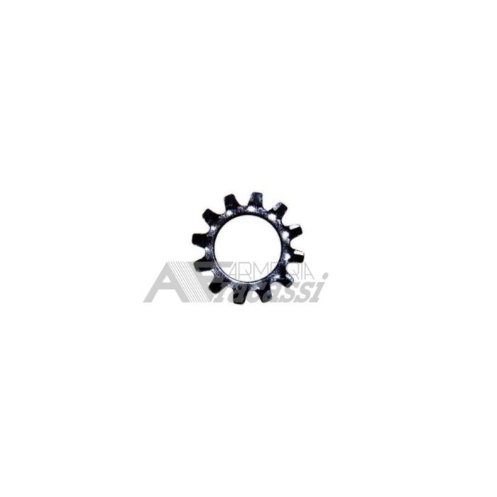 Lock Washer (rondella guancette)