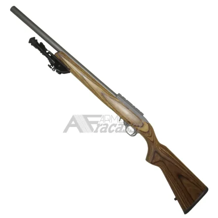 Ruger 10/22 €450